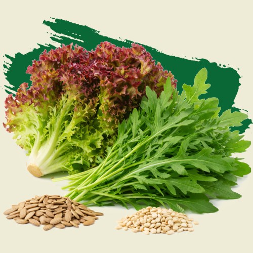 Салат листовий