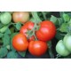 Томат Єсенія F1