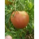 Томат Іванич F1