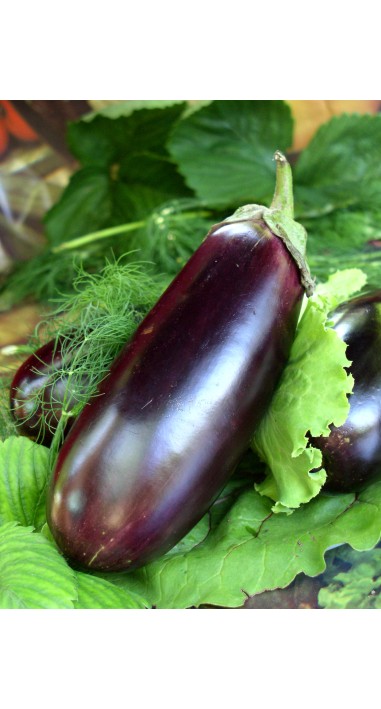 Баклажан Алмаз