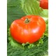Томат Баллада