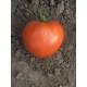 Томат Барон F1
