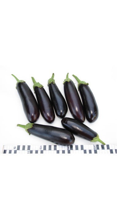 Баклажан Вєлора F1