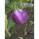 Баклажан Віолета