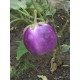 Баклажан Віолета