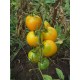 Томат Де барао золоте