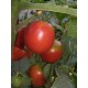 Томат Де барао рожеве