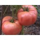 Томат Дика троянда
