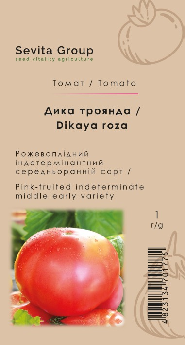 Томат Дика троянда