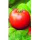 Томат Загадка