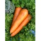Морква Красавка