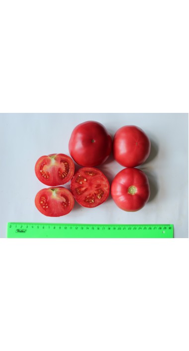 Томат Лелека F1