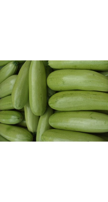 Кабачок Ленуца F1