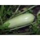 Кабачок Ленуца F1