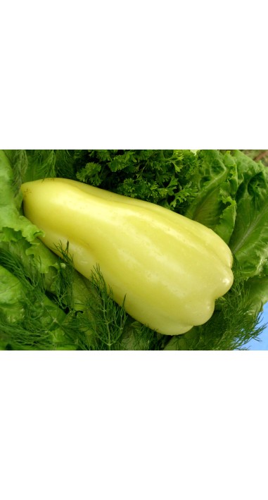 Перець Луміна