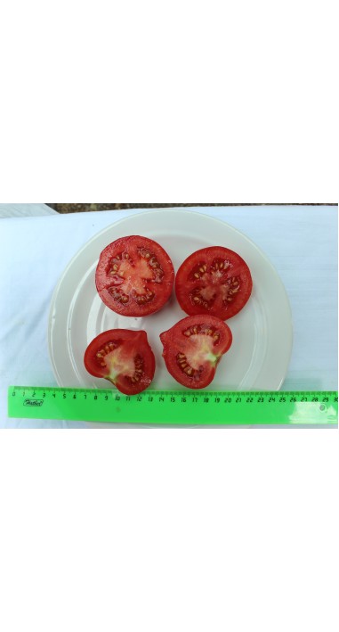 Томат Люссо F1