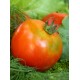 Томат Ляна