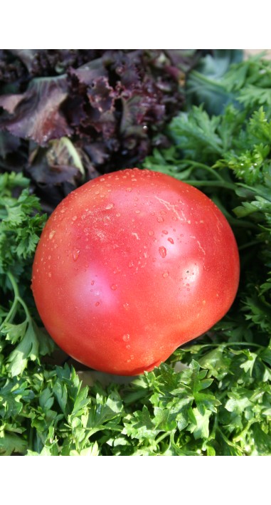 Томат Малиновий дзвін