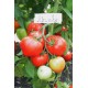 Томат Мальва F1