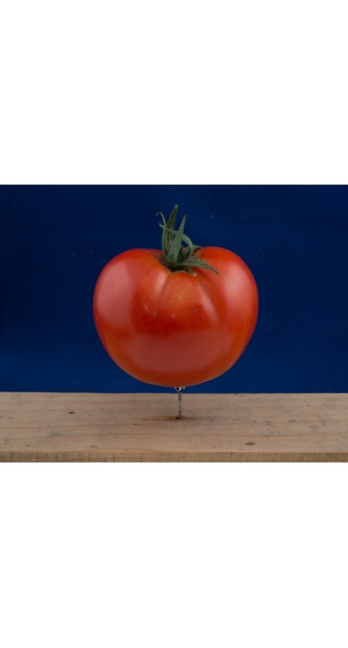 Томат Манін F1