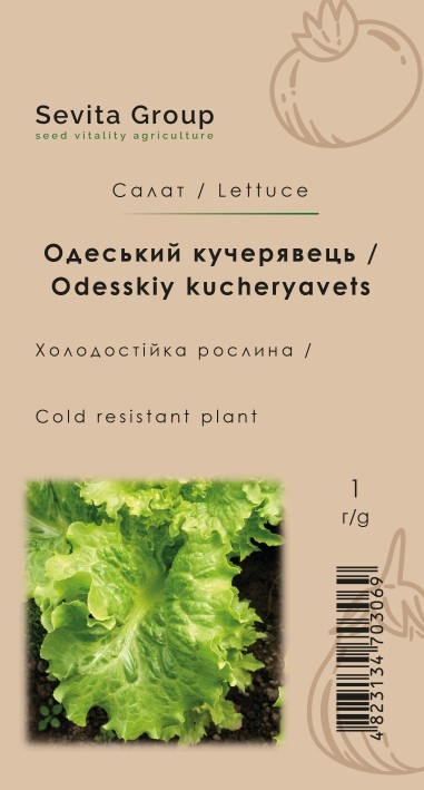 Салат Одеський кучерявець