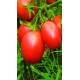 Томат Переможець
