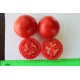 Томат Редора F1