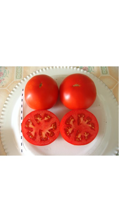 Томат Сольвіта F1