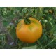 Томат Хурма