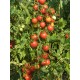 Томат чері Колібрі
