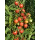 Томат чері Колібрі