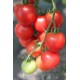 Томат чері Малинова крапель F1