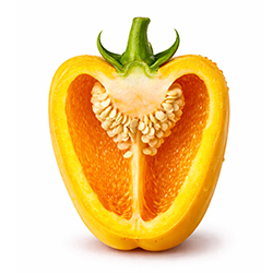 Середньоранній (11)